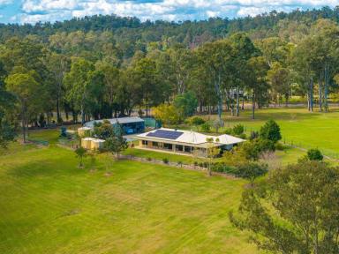 Acreage/Semi-rural For Sale - QLD - Bells Bridge - 4570 - LIFESTYLE RIVERSIDE PROPERTY AT BELLS BRIDGE  (Image 2)