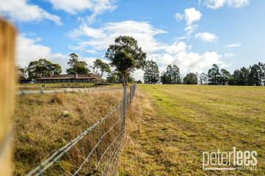 Residential Block For Sale - TAS - Westbury - 7303 - Lifestyle Block
"Room to Roam, Space to Grow"  (Image 2)
