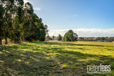 Residential Block For Sale - TAS - Westbury - 7303 - Lifestyle Block
"Room to Roam, Space to Grow"  (Image 2)