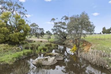 Mixed Farming For Sale - VIC - Strathbogie - 3666 - 'Balmanno'  

Exceptional 100-Acre Lifestyle Property with Extensive Infrastructure and Creek Frontage.  (Image 2)