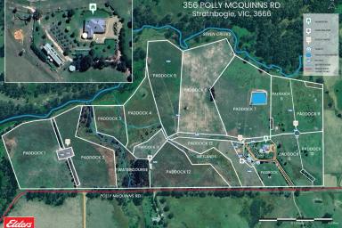 Mixed Farming For Sale - VIC - Strathbogie - 3666 - 'Balmanno'  

Exceptional 100-Acre Lifestyle Property with Extensive Infrastructure and Creek Frontage.  (Image 2)