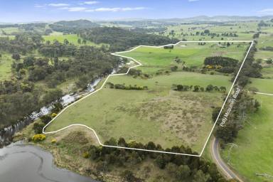 Mixed Farming For Sale - VIC - Strathbogie - 3666 - 'Balmanno'  

Exceptional 100-Acre Lifestyle Property with Extensive Infrastructure and Creek Frontage.  (Image 2)