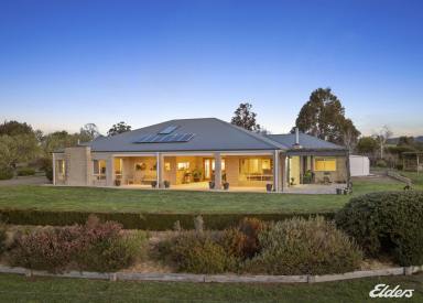 Mixed Farming For Sale - VIC - Strathbogie - 3666 - 'Balmanno'
Exceptional 100-Acre Lifestyle Property with Extensive Infrastructure and Creek Frontage. (Image 2)