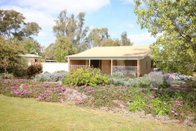 House For Sale - VIC - Elmore - 3558 - ENDLESS POTENTIAL ON HALF AN ACRE IN THE HEART OF ELMORE  (Image 2)