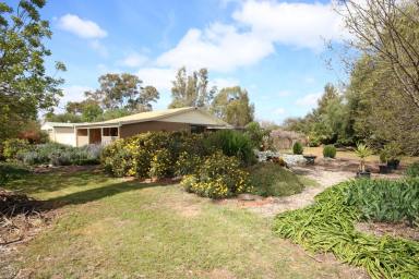 House For Sale - VIC - Elmore - 3558 - ENDLESS POTENTIAL ON HALF AN ACRE IN THE HEART OF ELMORE  (Image 2)