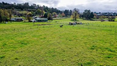 Lifestyle For Sale - NSW - Walcha - 2354 - (PENDING)  RIVER FRONT AGREAGE with| Renovated Home |EQUINE FACILITIES  (Image 2)