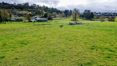 Lifestyle For Sale - NSW - Walcha - 2354 - Riverfront Lifestyle Acreage | Renovated Home | Equine Facilities | 12 Acres in Town  (Image 2)