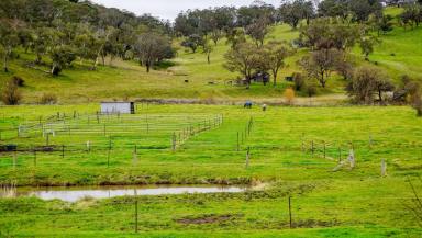Lifestyle For Sale - NSW - Walcha - 2354 - Riverfront Lifestyle Acreage | Renovated Home | Equine Facilities | 12 Acres in Town (Image 2)