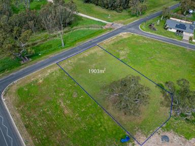 Residential Block For Sale - SA - Penola - 5277 - Premium Building Allotment With Nature Reserve Views  (Image 2)