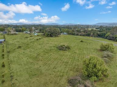 House For Sale - QLD - Dayboro - 4521 - 2.75ha of Prime Acreage on the Edge of Town with Town Water  (Image 2)