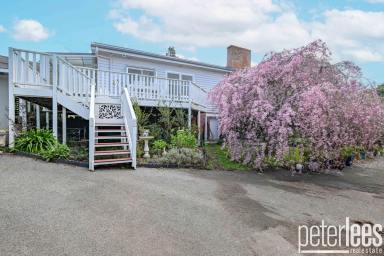 House For Sale - TAS - Kings Meadows - 7249 - Your Own Private Paradise  (Image 2)