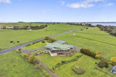 Mixed Farming For Sale - VIC - Alvie - 3249 - ATTRACTIVE QUALITY COLAC DISTRICT PROPERTIES  (Image 2)