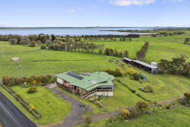 Mixed Farming For Sale - VIC - Alvie - 3249 - ATTRACTIVE QUALITY COLAC DISTRICT PROPERTIES  (Image 2)
