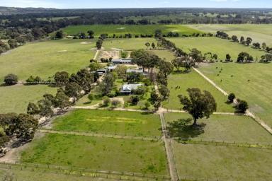 Other (Rural) Auction - VIC - Euroa - 3666 - "Cloverlea" - A Thoroughbred Haven, A Strategic Parcel of Land  (Image 2)