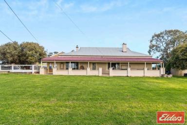 House For Sale - SA - Sandy Creek - 5350 - A CHARACTER FILLED COUNTRY ESTATE ON 115 ACRES  (Image 2)