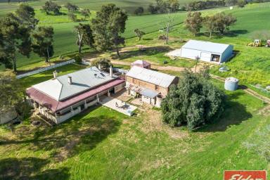 House For Sale - SA - Sandy Creek - 5350 - A CHARACTER FILLED COUNTRY ESTATE ON 115 ACRES  (Image 2)