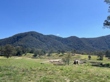 Residential Block For Sale - QLD - Highvale - 4520 - Build your dream home - 2.34ha  (Image 2)