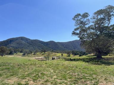Residential Block For Sale - QLD - Highvale - 4520 - Build your dream home - 2.34ha  (Image 2)