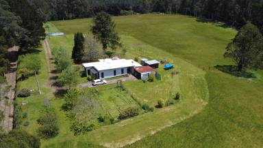 Acreage/Semi-rural For Sale - TAS - Rosebery - 7470 - Tarkine Treasure  (Image 2)