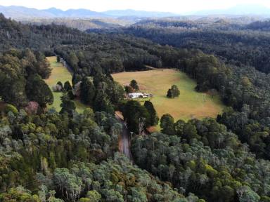 Acreage/Semi-rural For Sale - TAS - Rosebery - 7470 - Tarkine Treasure  (Image 2)