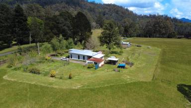 Acreage/Semi-rural For Sale - TAS - Rosebery - 7470 - Tarkine Treasure  (Image 2)