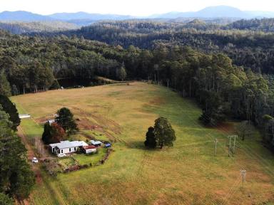Acreage/Semi-rural For Sale - TAS - Rosebery - 7470 - Tarkine Treasure  (Image 2)