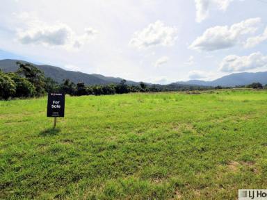 House For Sale - QLD - Tully - 4854 - FOR SALE BY EXPRESSIONS OF INTEREST - Prime Land on Picturesque Bulgun Road  (Image 2)