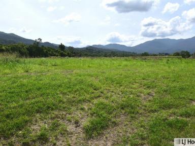 House For Sale - QLD - Tully - 4854 - Prime Land on Picturesque Bulgun Road!  (Image 2)