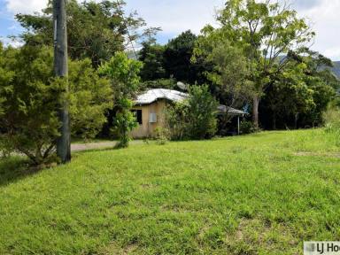 House Sold - QLD - Tully - 4854 - Prime Land on Picturesque Bulgun Road!  (Image 2)