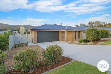 House For Sale - NSW - Hamilton Valley - 2641 - AN ENTERTAINER'S DREAM IN HAMILTON VALLEY  (Image 2)