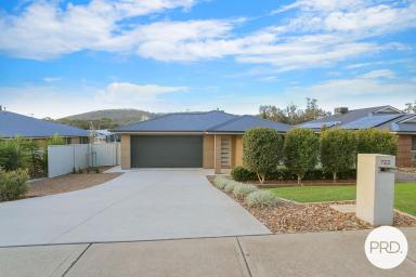 House For Sale - NSW - Hamilton Valley - 2641 - AN ENTERTAINER'S DREAM IN HAMILTON VALLEY  (Image 2)