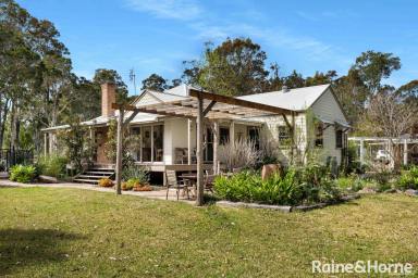 House For Sale - NSW - Nowra Hill - 2540 - Private Rural Retreat on Over 9 Acres  (Image 2)