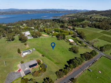 Residential Block For Sale - TAS - Hillwood - 7252 - Small Acerage in Hillwood  (Image 2)