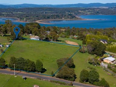 Residential Block For Sale - TAS - Hillwood - 7252 - Small Acerage in Hillwood  (Image 2)