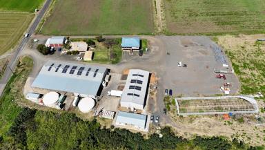 Cropping For Sale - QLD - Crowley Vale - 4342 - Two productive irrigated cropping opportunities (Image 2)