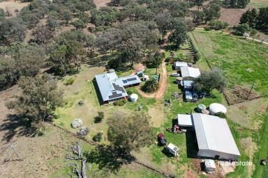 Mixed Farming For Sale - NSW - Inverell - 2360 - VALLEY VIEW  (Image 2)