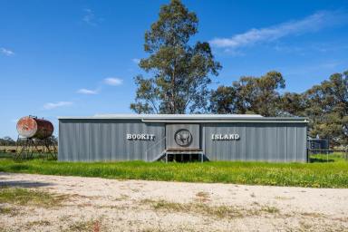Cropping For Sale - NSW - Barham - 2732 - Prestigious Southern Riverina Landholding  (Image 2)