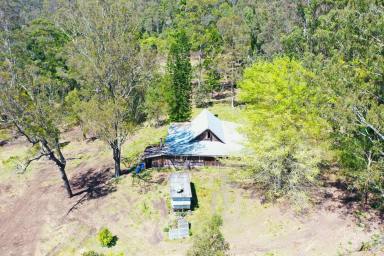Lifestyle For Sale - NSW - Kyogle - 2474 - 211 ACRE GETAWAY  (Image 2)