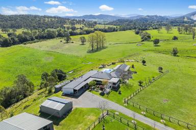 Lifestyle For Sale - NSW - Stroud - 2425 - Rare Karuah River Grazing & Lifestyle Estate  (Image 2)