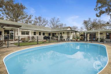 Acreage/Semi-rural For Sale - VIC - Pearcedale - 3912 - Peaceful, private & picturesque!  (Image 2)