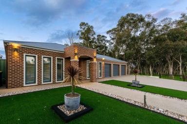 House For Sale - VIC - Junortoun - 3551 - Spacious Family Home with Exceptional Shedding  (Image 2)
