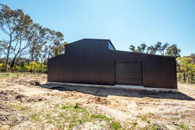 Residential Block For Sale - NSW - Torrington - 2371 - Build, Convert or Create Your Off-Grid Dream  (Image 2)