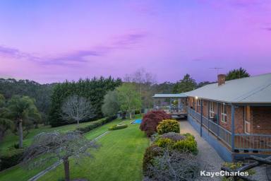 Acreage/Semi-rural For Sale - VIC - Belgrave South - 3160 - Elegance Meets Space – 20 Acres of Quality Living  (Image 2)