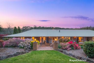Acreage/Semi-rural For Sale - VIC - Belgrave South - 3160 - Elegance Meets Space – 20 Acres of Quality Living  (Image 2)
