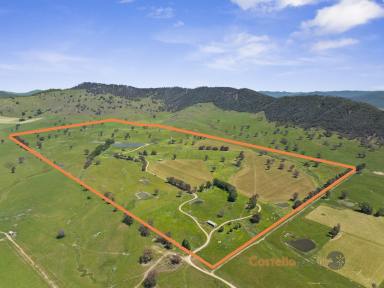 Livestock For Sale - VIC - Colac Colac - 3707 - RURAL PROPERTY FOR SALE BY EXPRESION OF INTEREST  (Image 2)