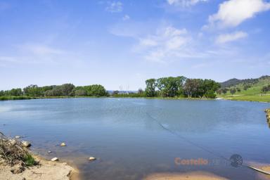 Livestock For Sale - VIC - Colac Colac - 3707 - RURAL PROPERTY FOR SALE BY EXPRESION OF INTEREST  (Image 2)