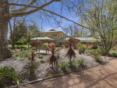 House For Sale - NSW - Exeter - 2579 - Lifestyle Retreat in Exeter (Image 2)