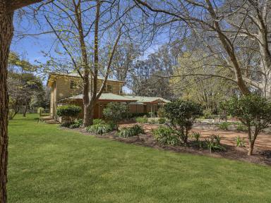 House For Sale - NSW - Exeter - 2579 - Lifestyle Retreat in Exeter  (Image 2)