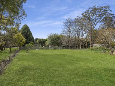 House For Sale - NSW - Exeter - 2579 - Lifestyle Retreat in Exeter  (Image 2)