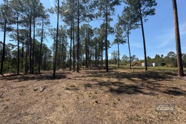 Residential Block For Sale - QLD - Glenwood - 4570 - BUILD, INVEST OR ESCAPE - ACREAGE LIVING AWAITS  (Image 2)